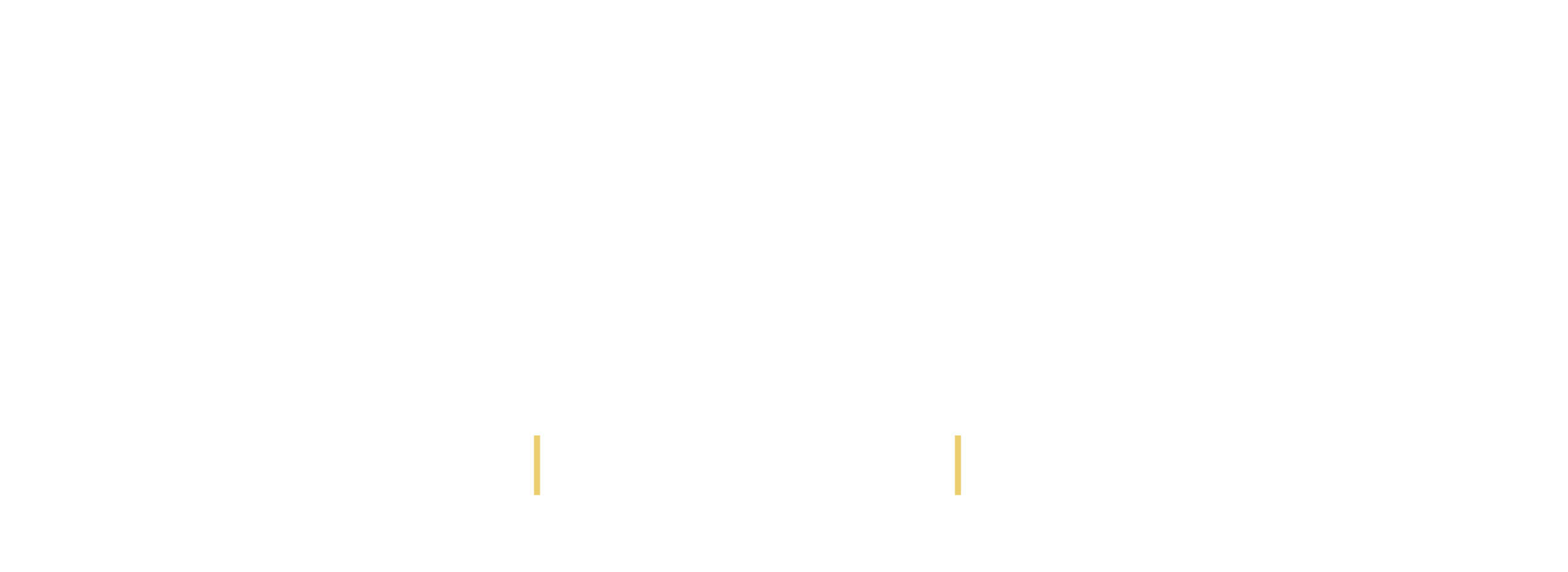 Diddit Logo Square White on Transparent-1